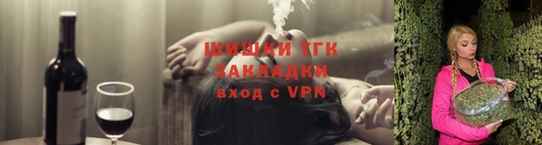 Альфа ПВП Верея