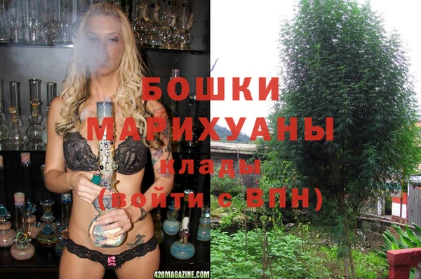 Альфа ПВП Верея