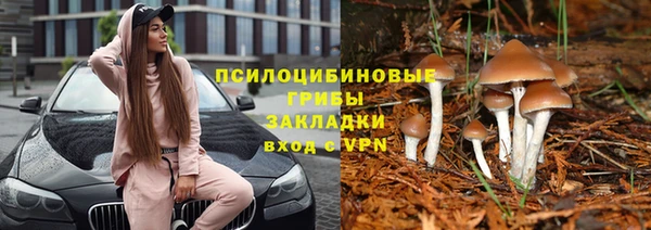 дурь Бугульма