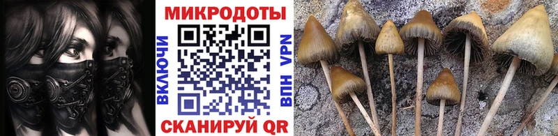 Галлюциногенные грибы Cubensis  гидра рабочий сайт  Ува 